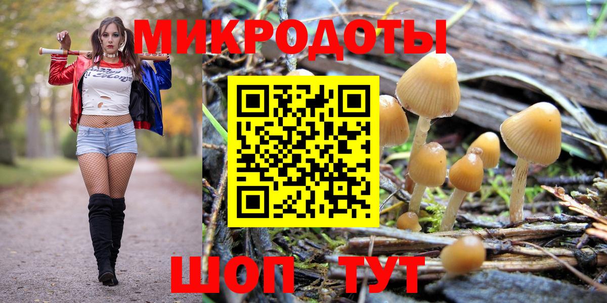 Сорочинск  Галлюциногенные грибы GOLDEN TEACHER  Галлюциногенные грибы мухоморы  где купить наркотик  Вход с VPN 